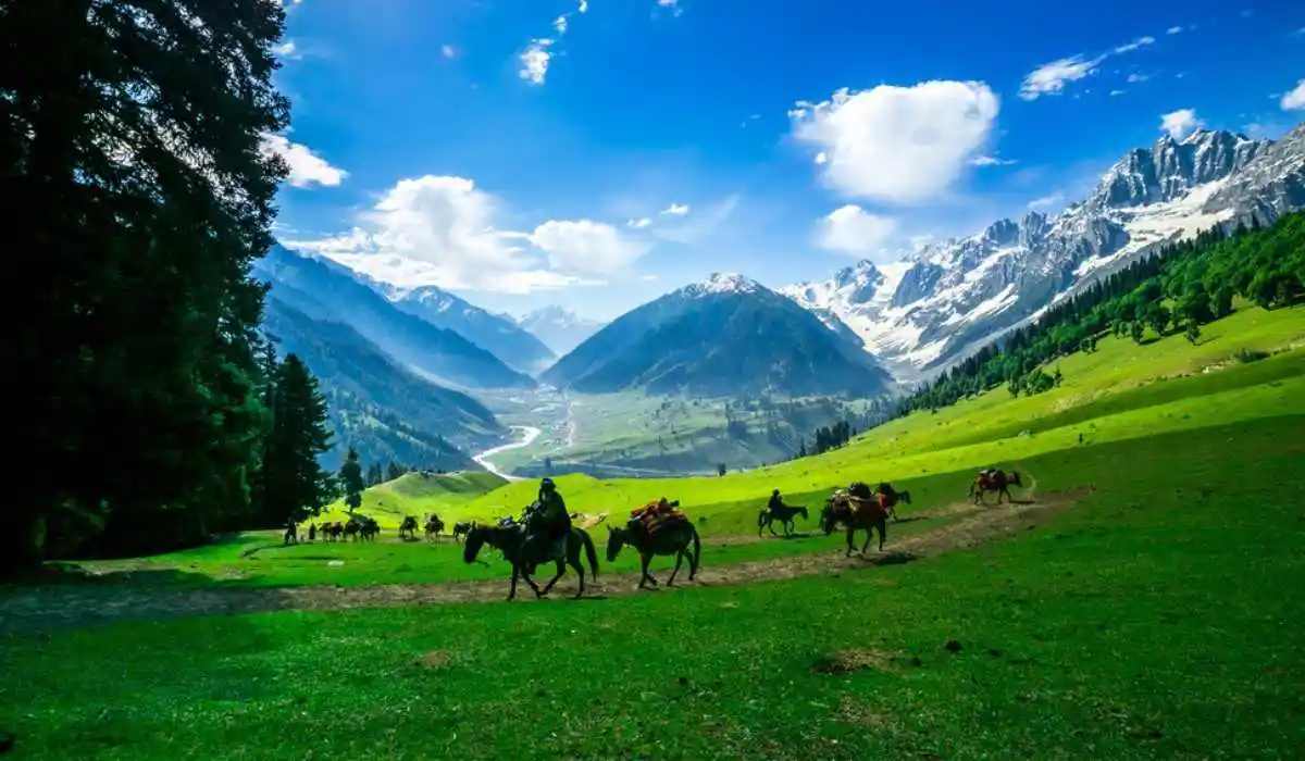 Kashmir Magic – Your Honeymoon, Your Story