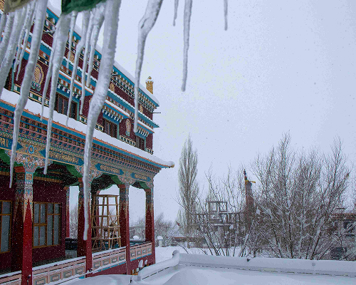 winter-in-spiti