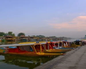 Journey to Land of lamas via paradise Ex Srinagar option 01