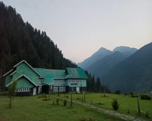 Exotic Kashmir